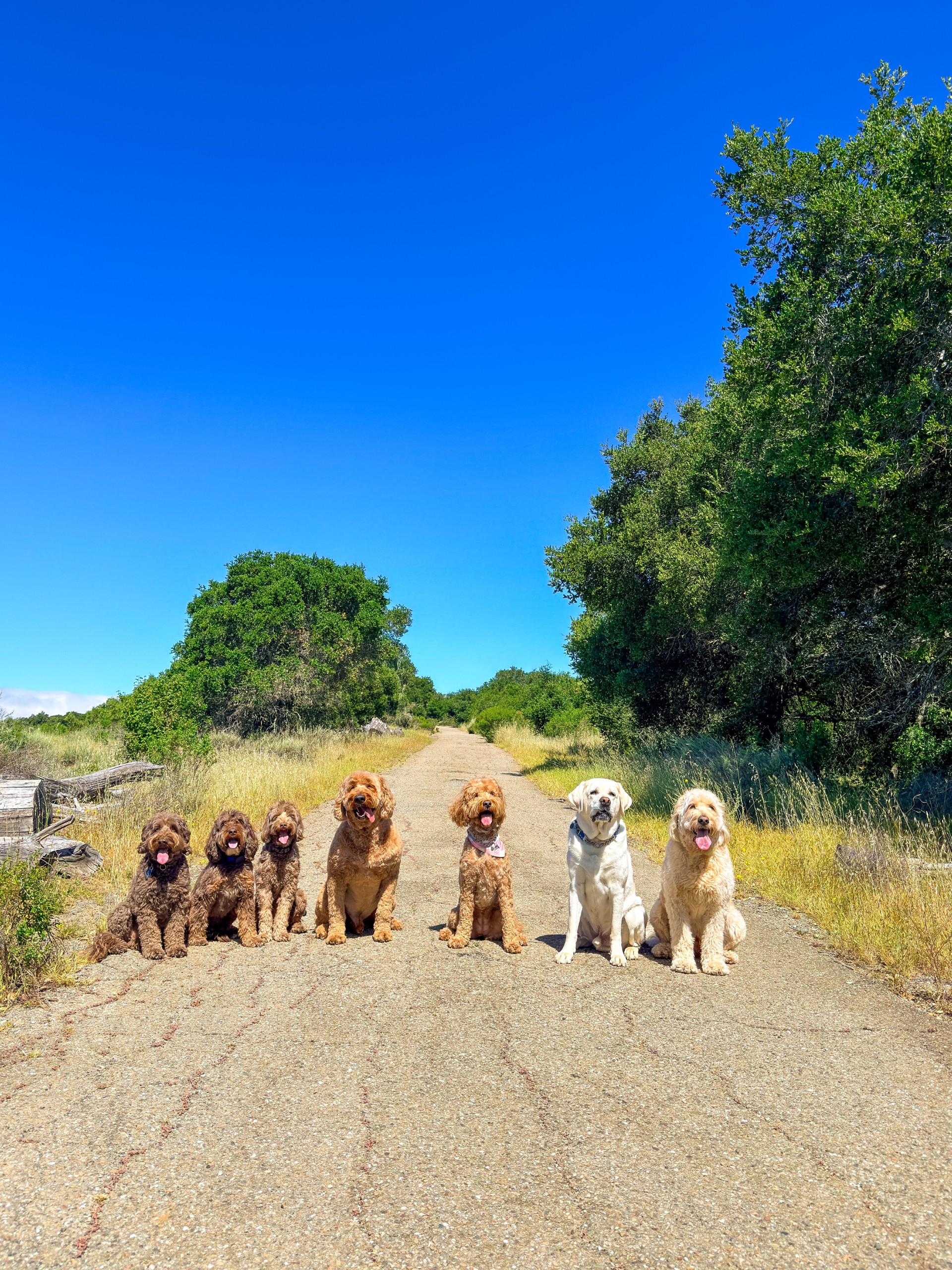 Pack on a scenic trail road